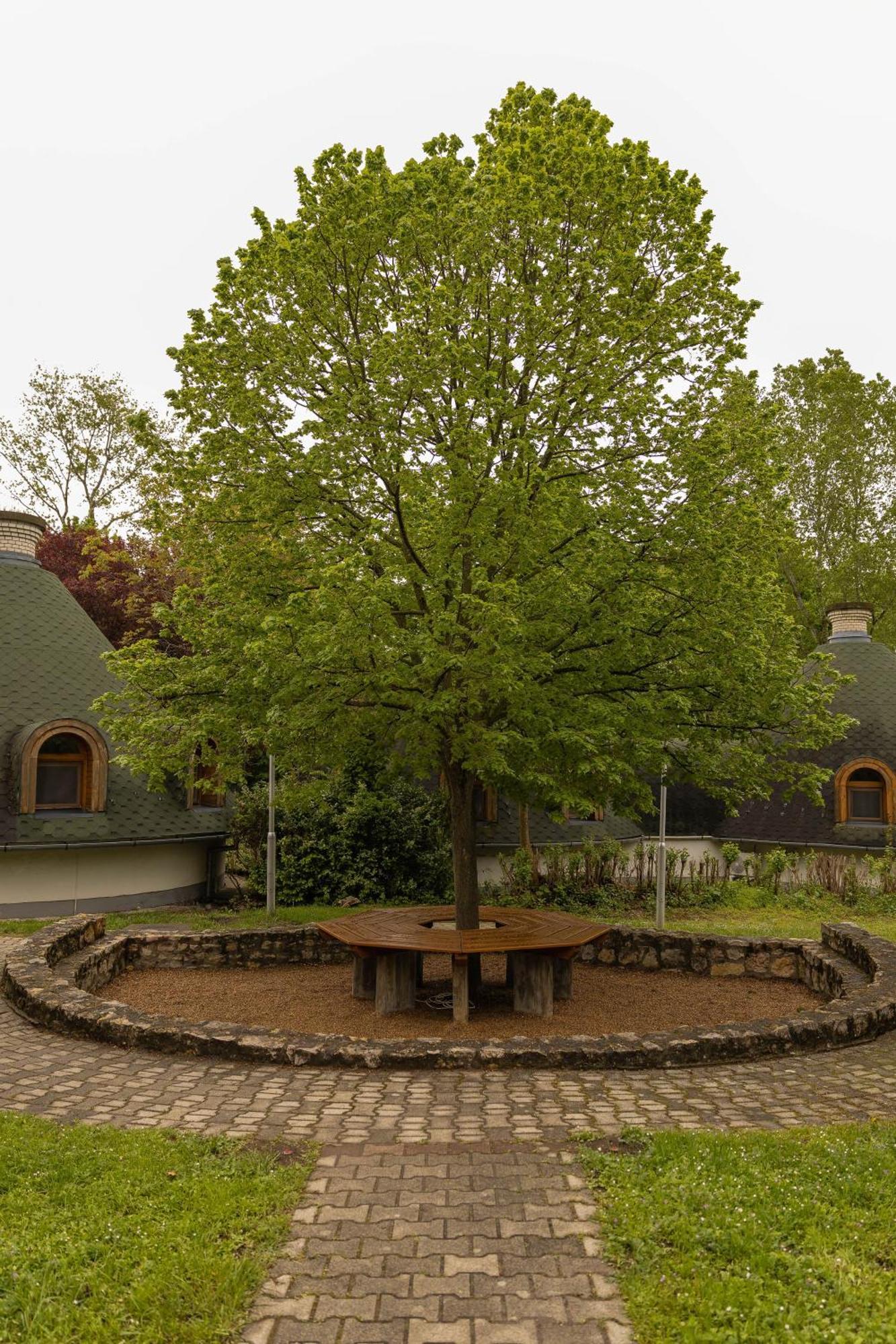 Gesztenye Nyaralopark Balatonudvari Exterior photo